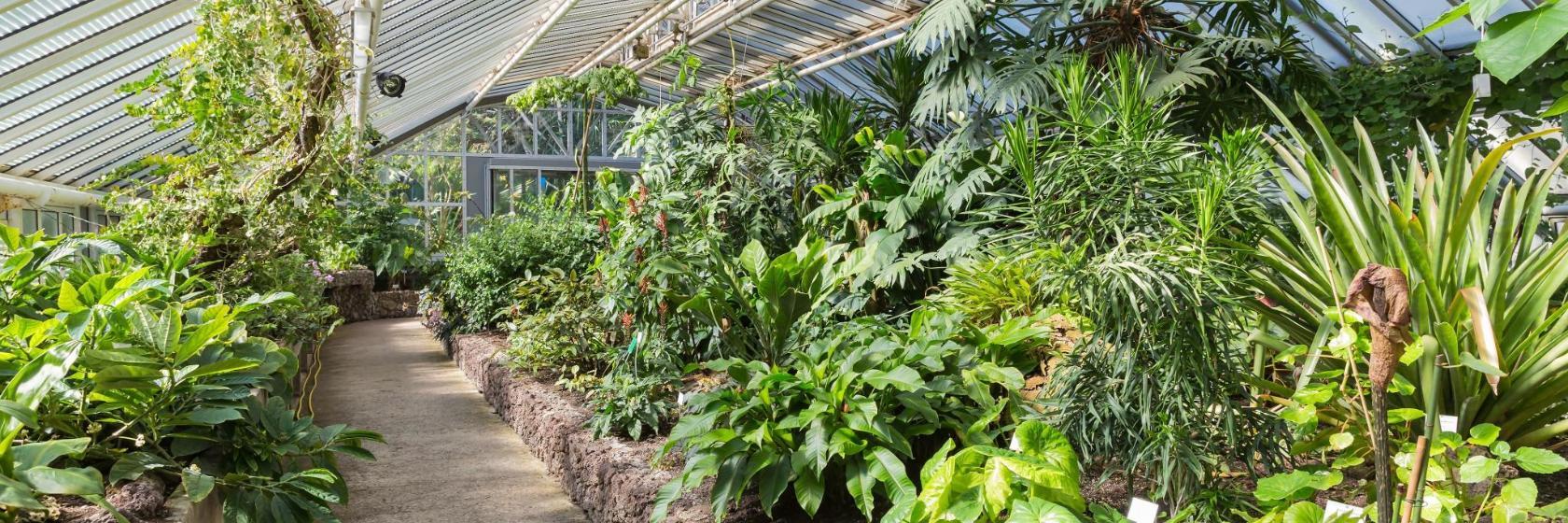 Botanisk Have og Botanisk Museum